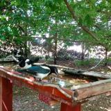 photo 2022-06-01 14-47-59