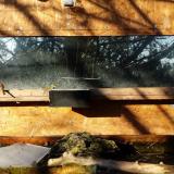 photo 2023-12-04 09-20-00