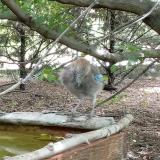 photo 2022-07-31 12-56-48 szajko