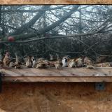 photo 2023-01-30 11-11-57