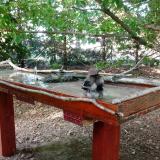 photo 2022-06-20 18-26-41