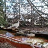 photo 2022-02-17 10-19-56