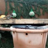 photo 2024-01-08 12-20-20