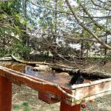 photo 2022-04-06 12-39-37