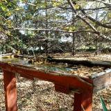 photo 2022-10-19 11-21-21