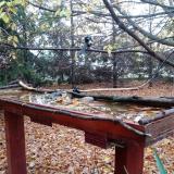 photo 2022-10-23 07-45-38