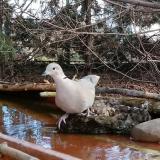 photo 2022-02-17 10-20-47 gerle