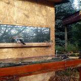 photo 2022-10-26 08-46-52