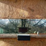 photo 2023-01-01 12-57-13