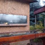 photo 2022-11-13 06-31-10