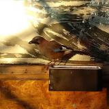 photo 2023-01-30 07-56-31