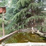 photo 2023-04-09 13-16-17