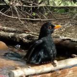 photo 2022-04-06 12-40-21 rigo