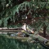 photo 2023-08-05 13-40-45