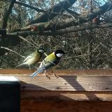 photo 2022-12-27 11-56-42