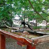 photo 2022-06-01 11-00-45