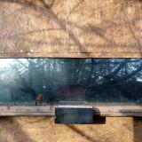 photo 2023-01-17 08-31-40