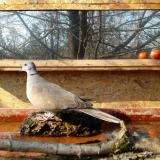 photo 2022-02-14 11-58-39