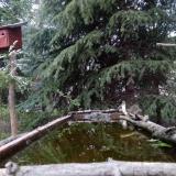 photo 2023-04-07 18-49-12