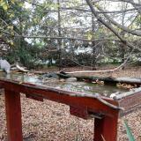 photo 2022-10-21 16-36-53