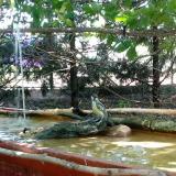 photo 2022-07-23 12-20-47 cinke