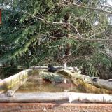 photo 2023-03-13 08-13-00