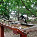 photo 2022-05-29 12-52-06