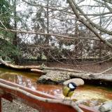 photo 2022-02-20 13-17-14