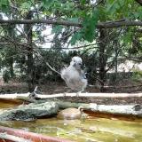 photo 2022-07-31 15-22-43 szajko