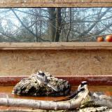 photo 2022-02-14 13-15-46