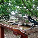 photo 2022-05-30 13-27-45