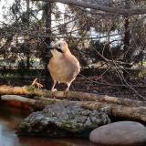 photo 2022-02-24 07-32-33 szajko