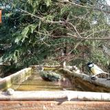 photo 2023-03-13 08-58-39