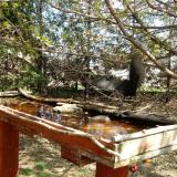 photo 2022-04-06 12-35-48