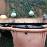 photo 2024-01-07 09-30-33