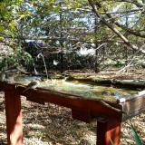 photo 2022-10-17 12-12-05