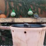 photo 2024-01-22 08-17-46