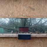 photo 2023-03-05 11-15-56