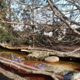 photo 2022-02-17 13-47-12