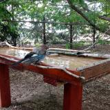 photo 2022-07-01 16-27-04