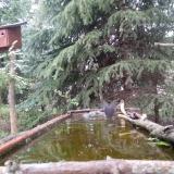 photo 2023-04-08 07-51-43