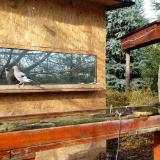 photo 2022-11-20 10-29-50