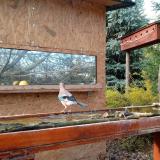 photo 2022-11-12 13-53-12