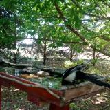 photo 2022-05-23 09-46-13