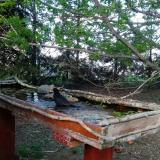 photo 2022-04-17 17-21-35