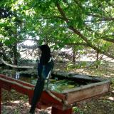 photo 2022-05-23 10-13-23