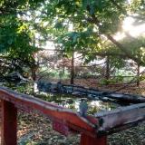 photo 2022-05-11 06-07-31