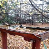 photo 2022-10-23 08-33-27