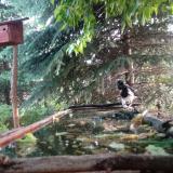 photo 2023-05-23 07-09-08