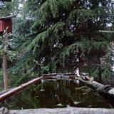 photo 2023-04-03 18-59-26